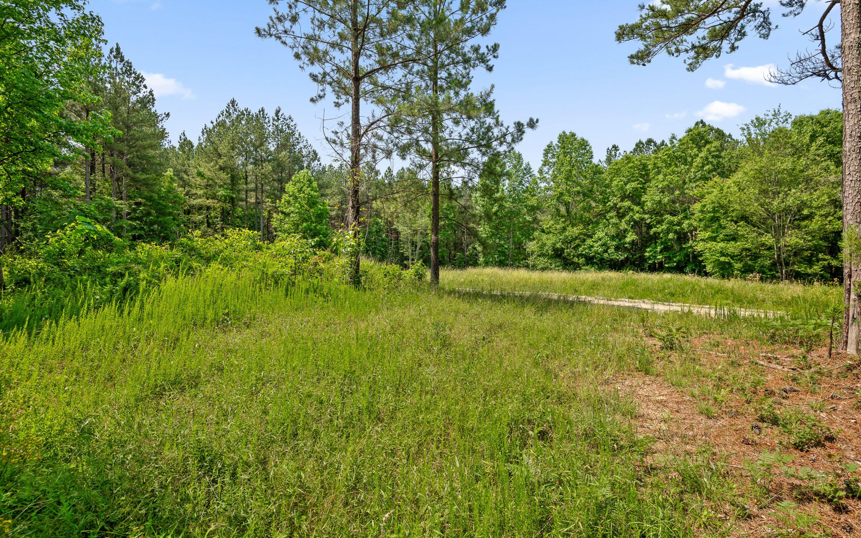 Lot 2222 High Ground Road, Guild, Tennessee image 19