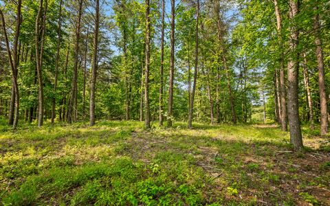 Tiny photo for Lot 2222 High Ground Road, Guild, TN 37340 (MLS # 1514240)