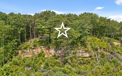 Tiny photo for Lot 2222 High Ground Road, Guild, TN 37340 (MLS # 1514240)