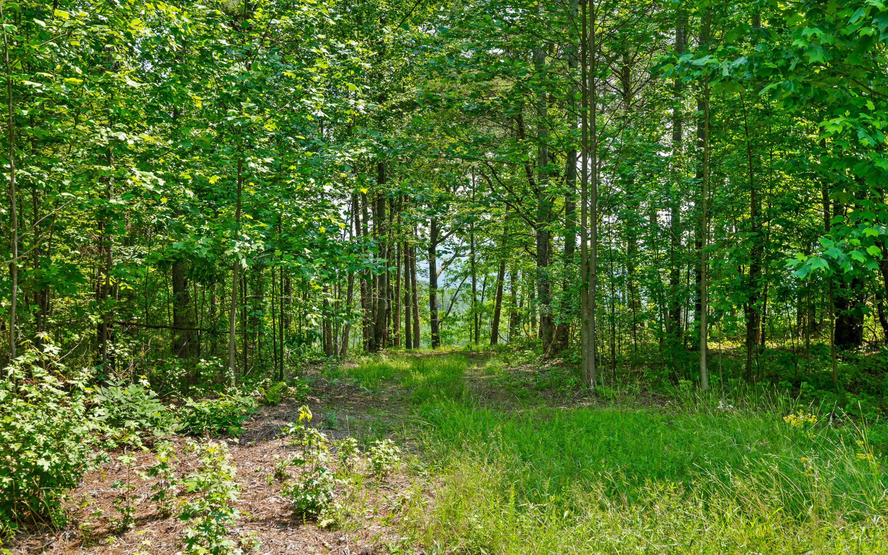 Lot 2222 High Ground Road, Guild, Tennessee image 20