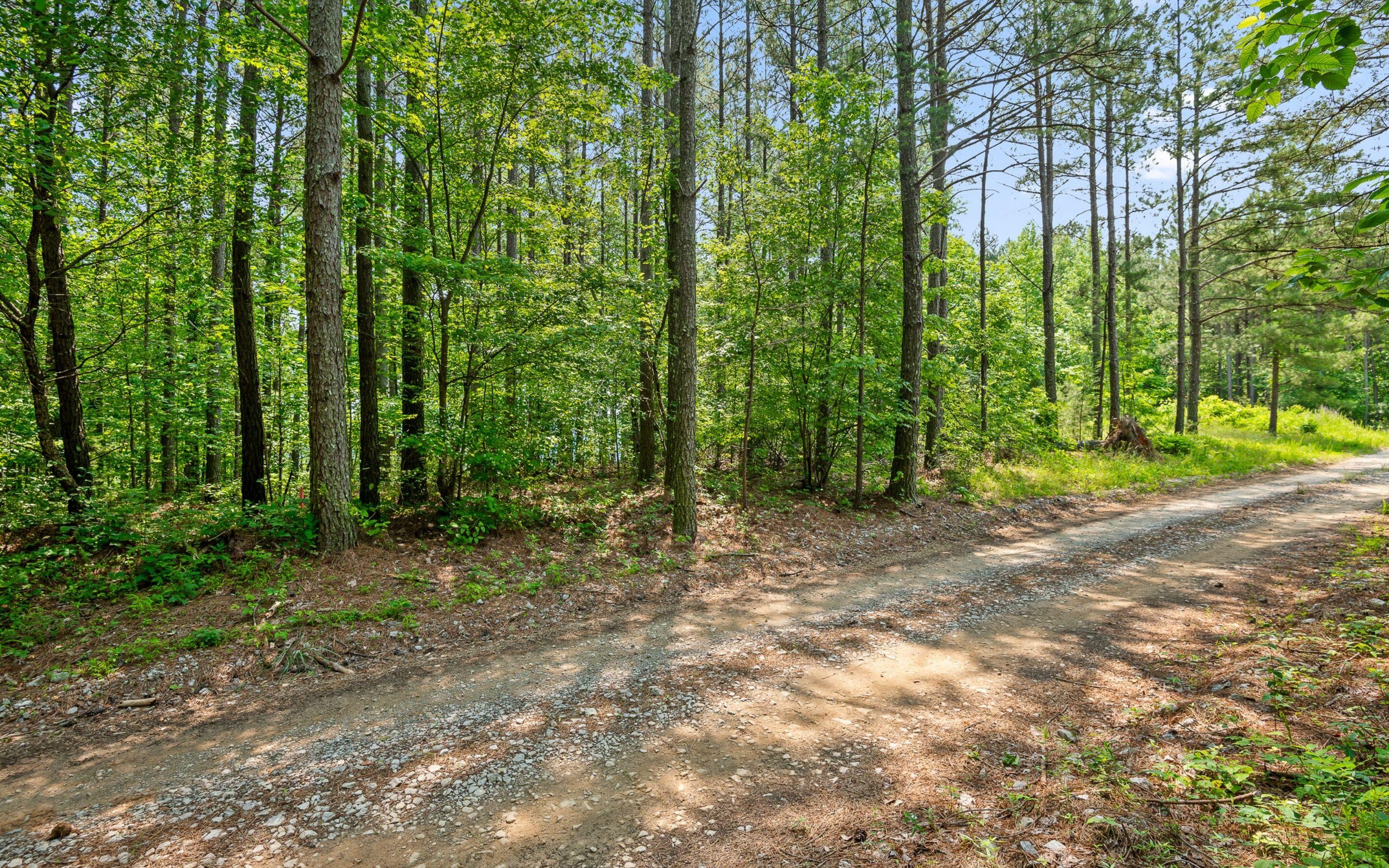 Lot 2222 High Ground Road, Guild, Tennessee image 22