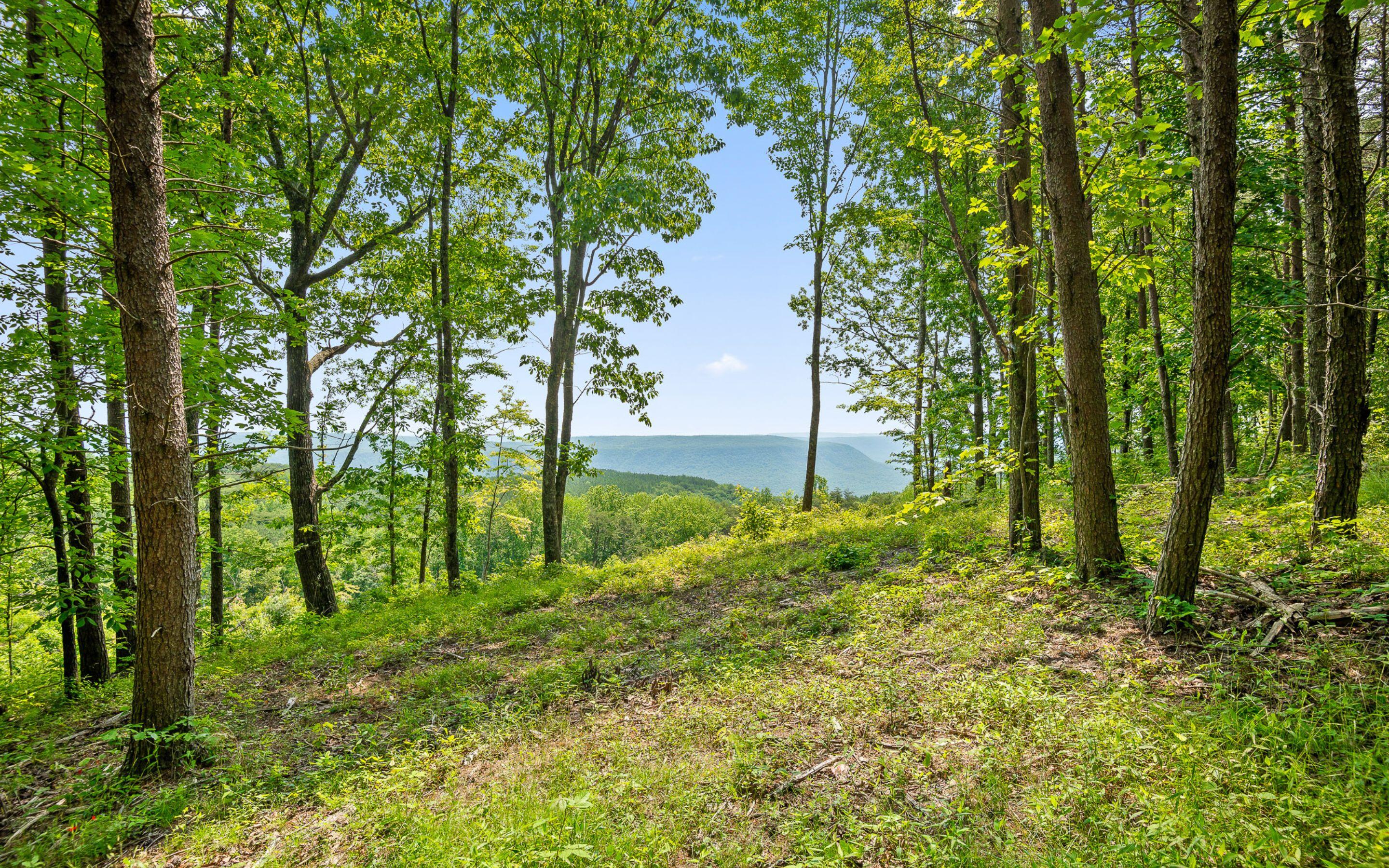 Lot 2222 High Ground Road, Guild, Tennessee image 14