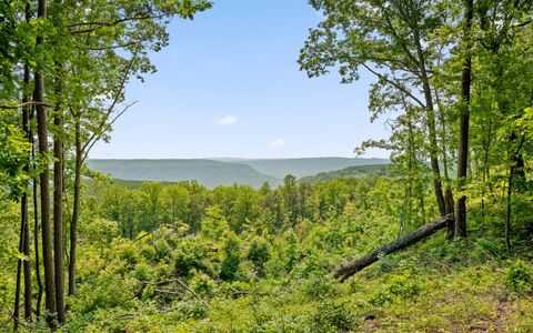 Tiny photo for Lot 2222 High Ground Road, Guild, TN 37340 (MLS # 1514240)