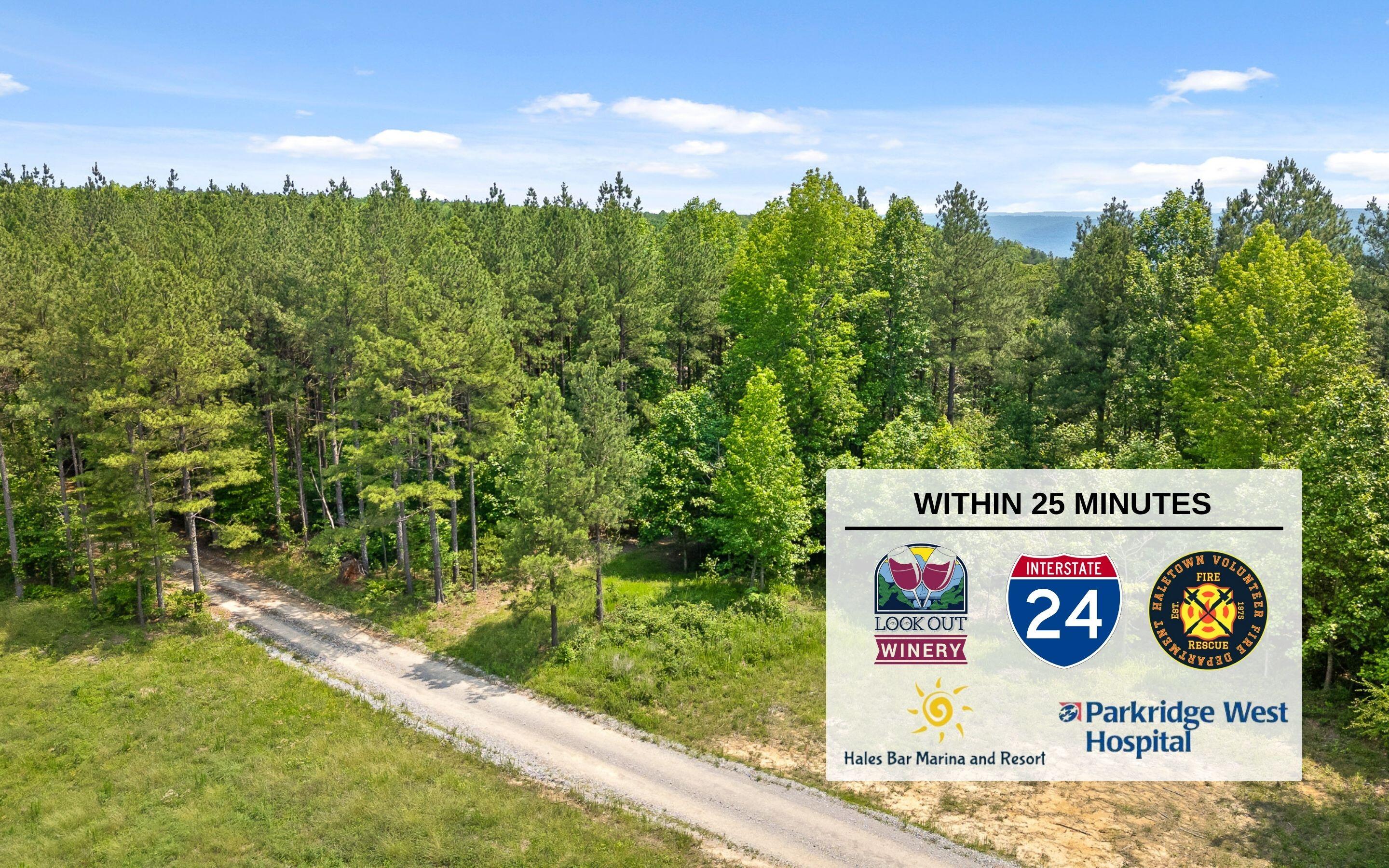 Lot 2222 High Ground Road, Guild, Tennessee image 26
