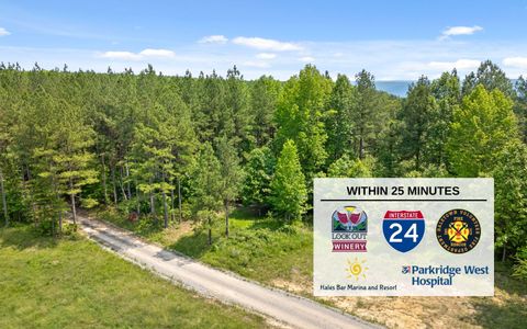 Tiny photo for Lot 2222 High Ground Road, Guild, TN 37340 (MLS # 1514240)