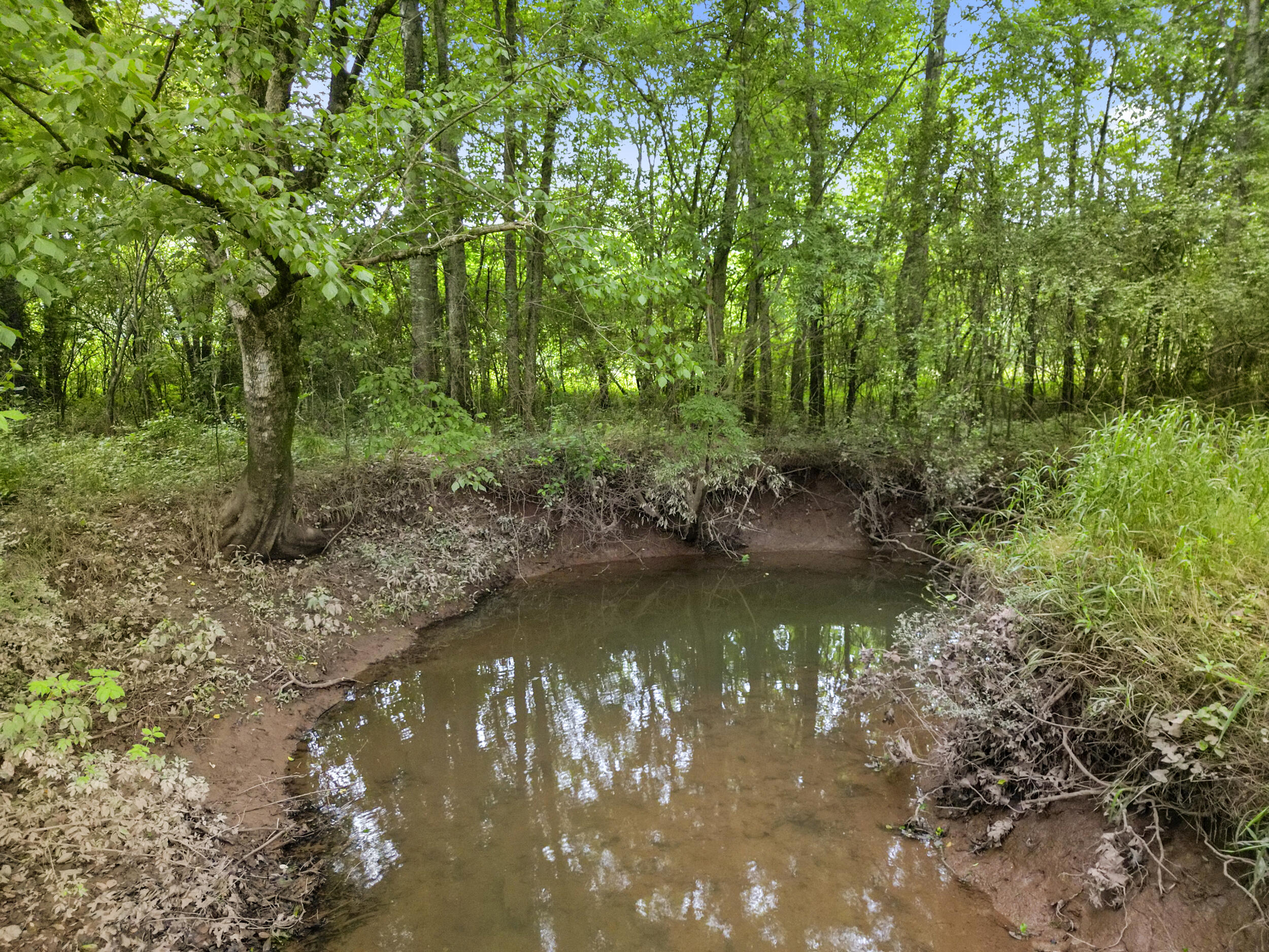 1721 Johnson Road, Cohutta, Georgia image 14