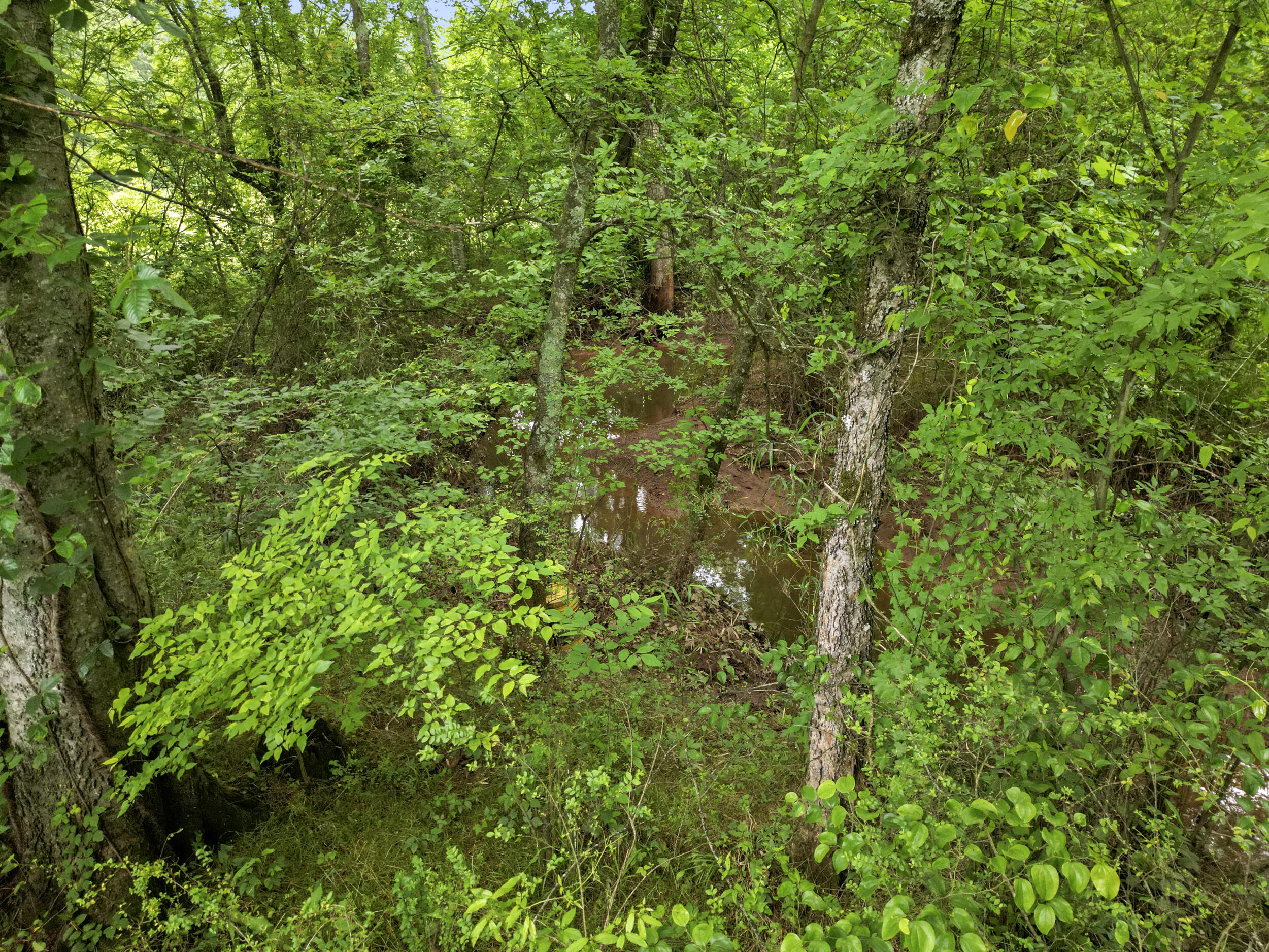 1721 Johnson Road, Cohutta, Georgia image 12
