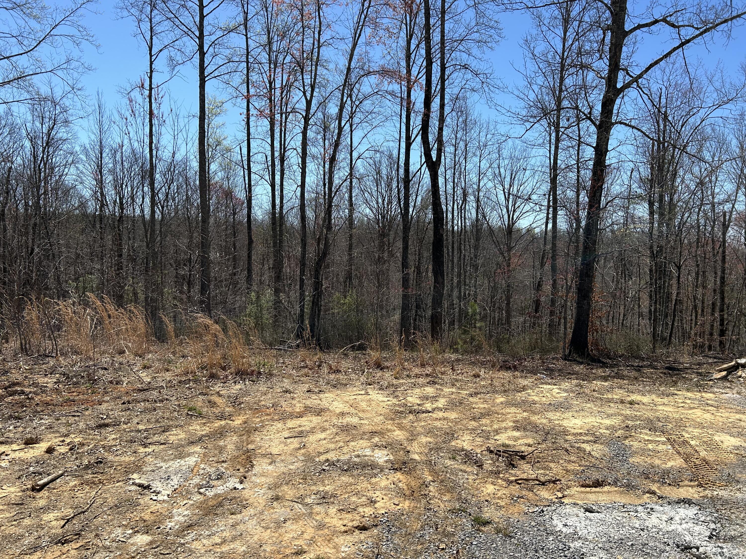 525 Moonlight Lane #JF-434, Jasper, Tennessee image 9