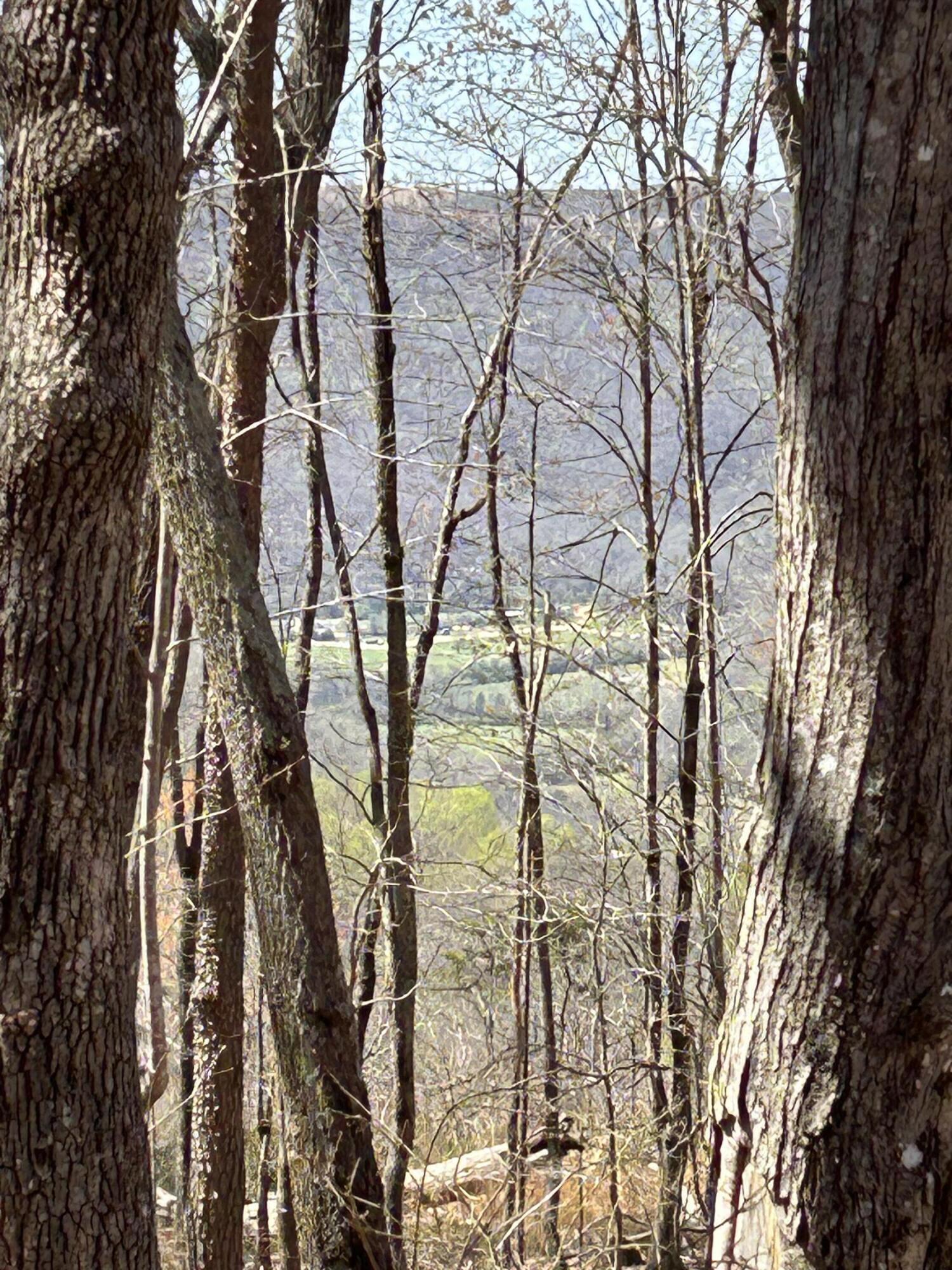 525 Moonlight Lane #JF-434, Jasper, Tennessee image 18