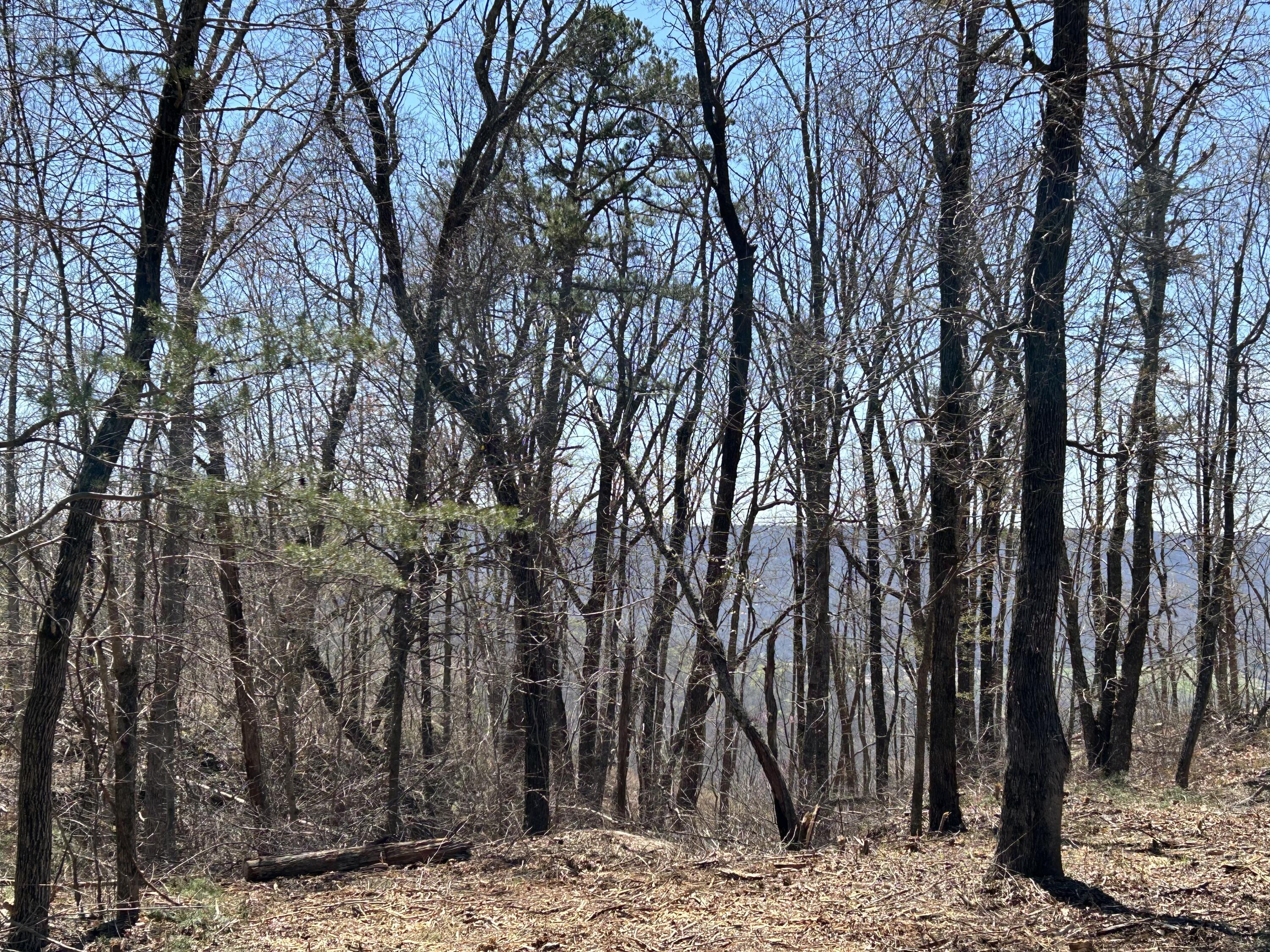 525 Moonlight Lane #JF-434, Jasper, Tennessee image 28