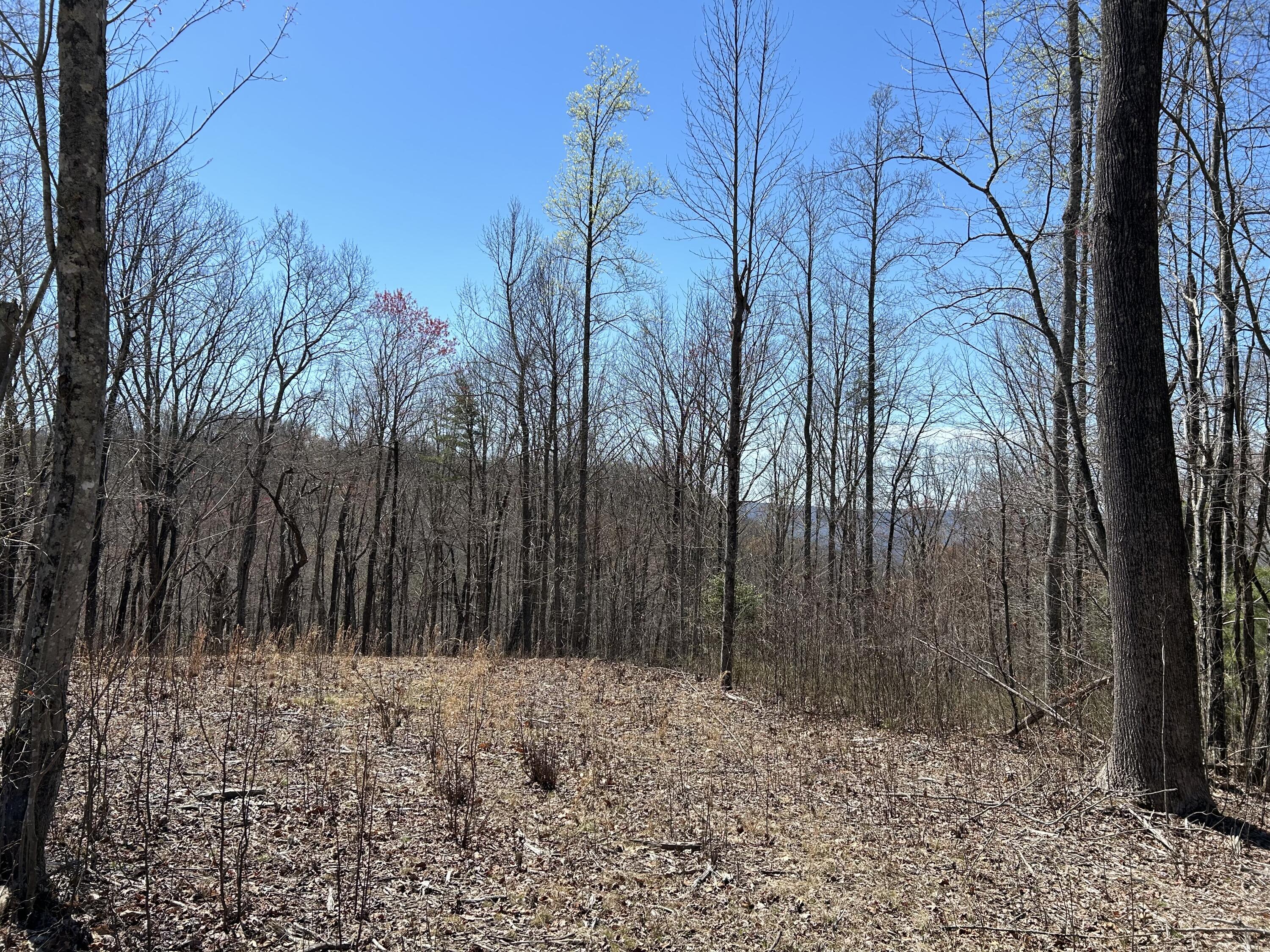 525 Moonlight Lane #JF-434, Jasper, Tennessee image 25