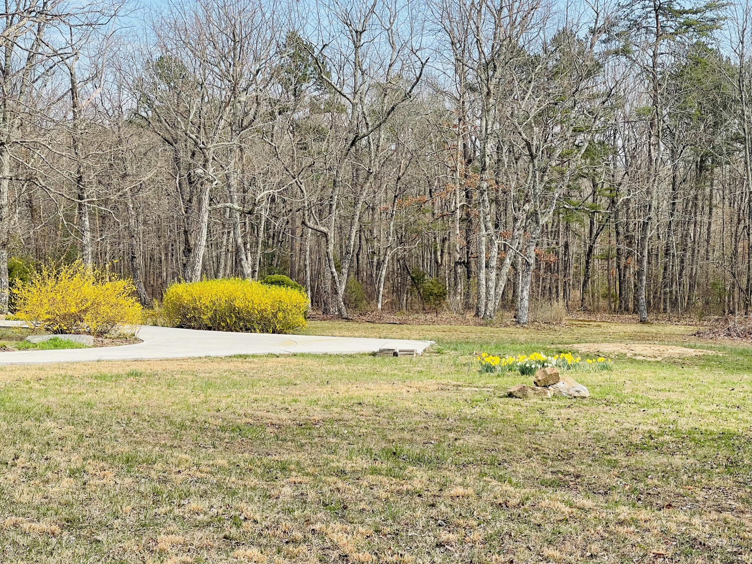 272 Windy Hollow Lane, Soddy Daisy, Tennessee image 43