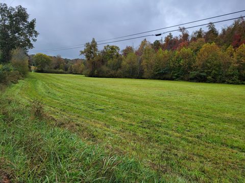 Tiny photo for 6500 Grasshopper Road, Birchwood, TN 37308 (MLS # 1527488)