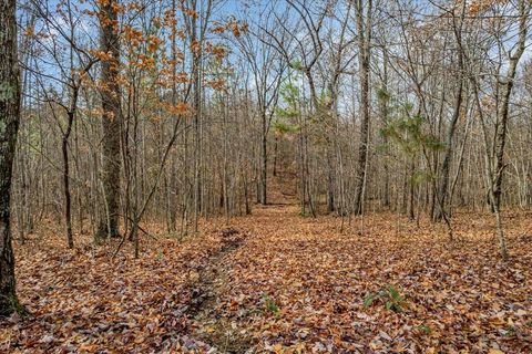 Tiny photo for 0 Crockett Point, Jasper, TN 37347 (MLS # 1525230)