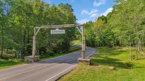 Tiny photo for 0 Crockett Point, Jasper, TN 37347 (MLS # 1525230)