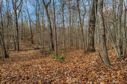 Tiny photo for 0 Crockett Point, Jasper, TN 37347 (MLS # 1525230)