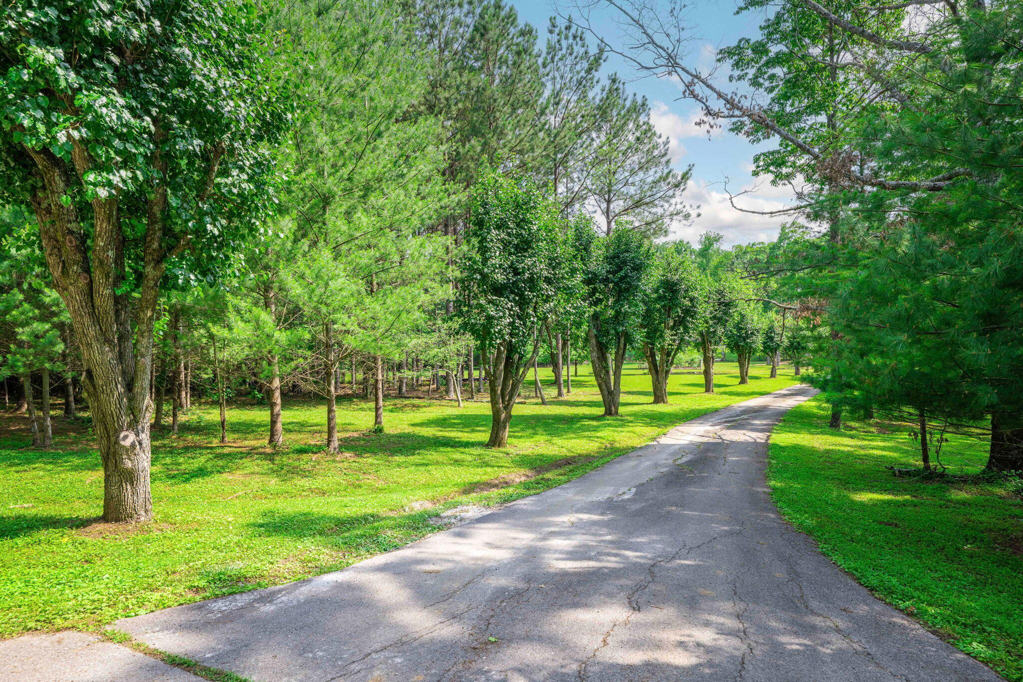 9126 Pleasant Lane, Ooltewah, Tennessee image 4