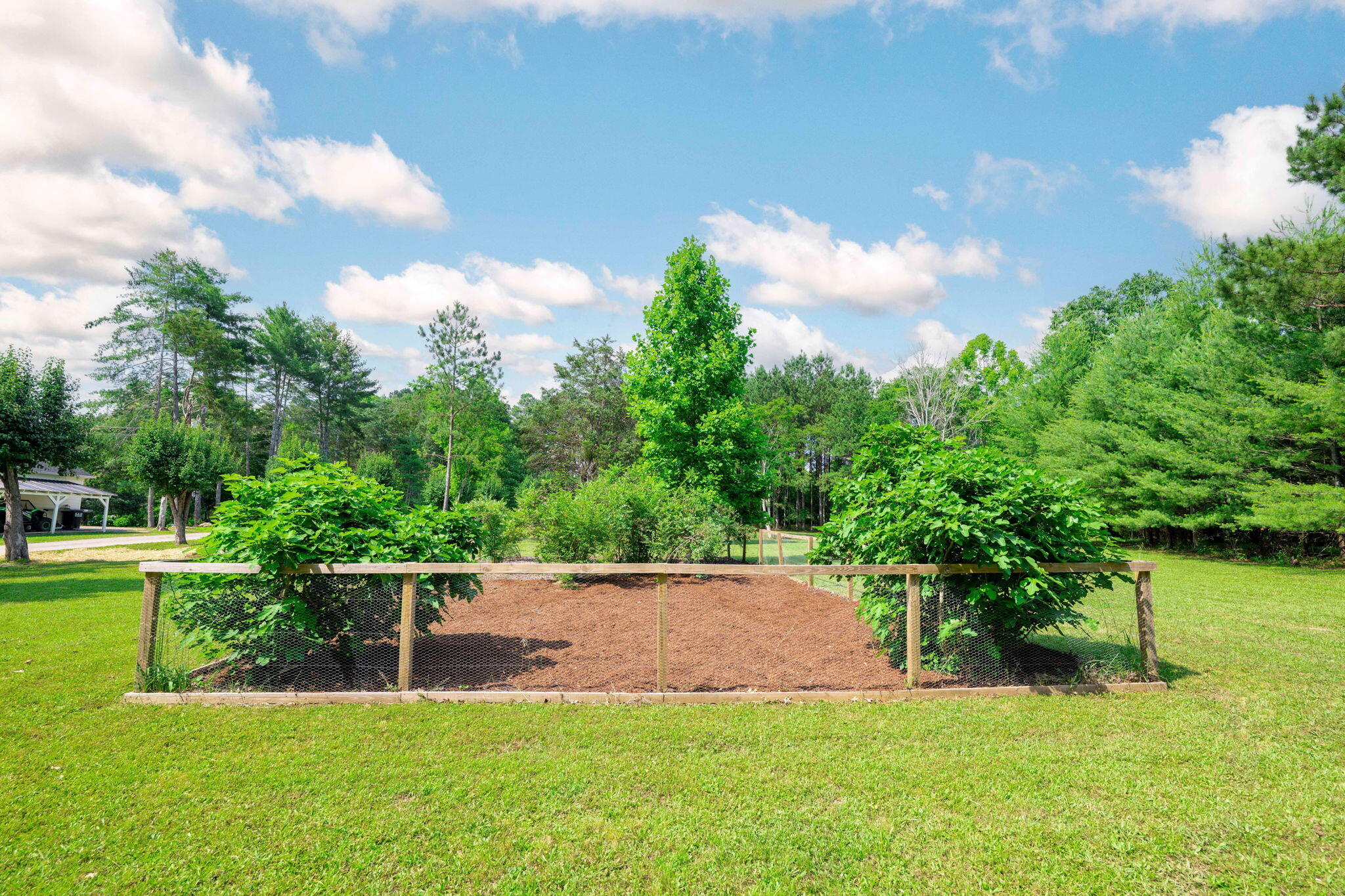 9126 Pleasant Lane, Ooltewah, Tennessee image 8