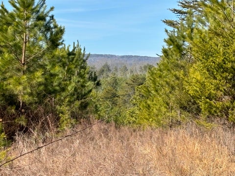 Vacant Land For Sale - Vaughn Mill Road<br/> Rhea County, Evensville, TN 37332