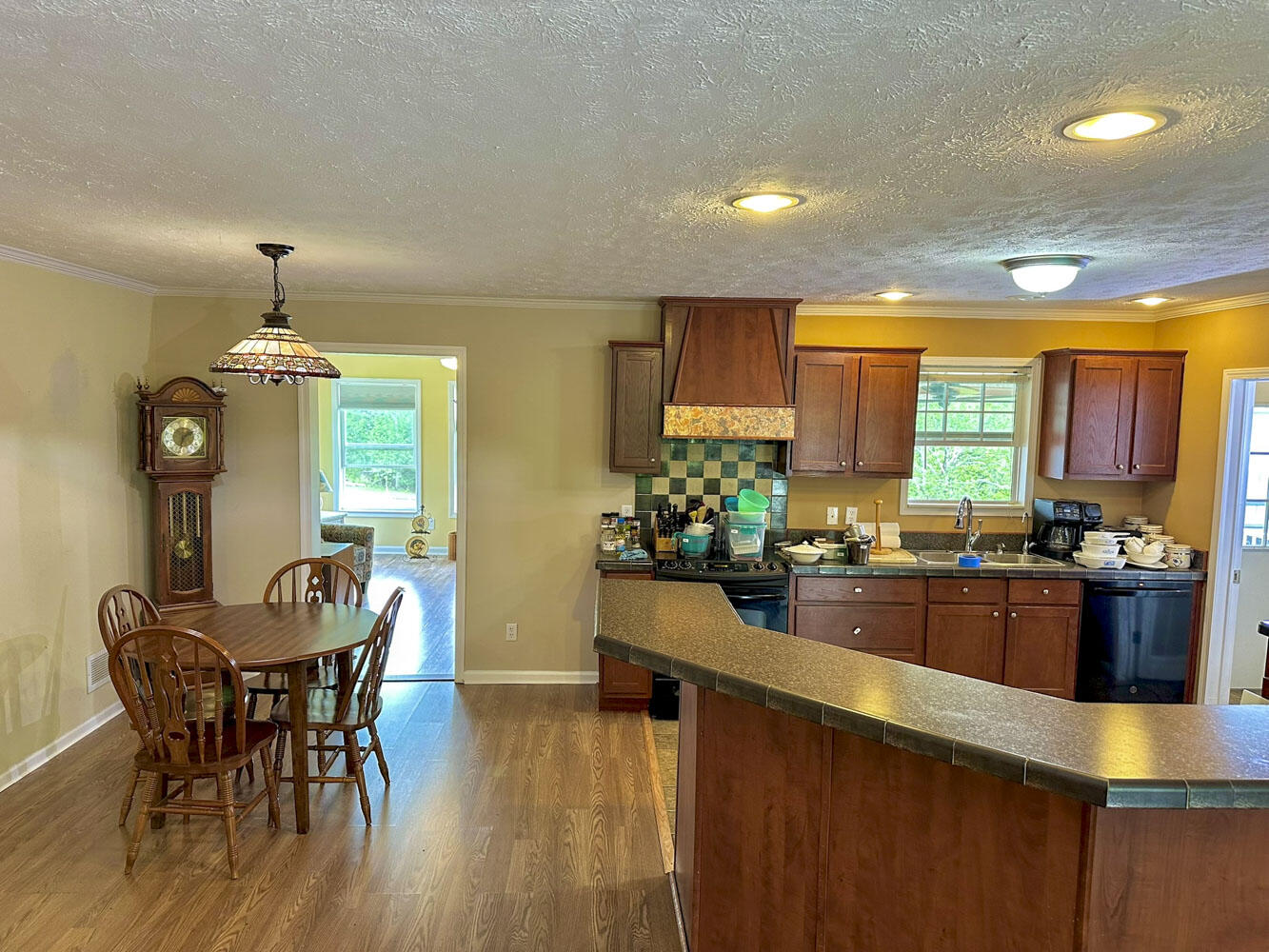 2218 Harvest Lane, Dandridge, Tennessee image 9