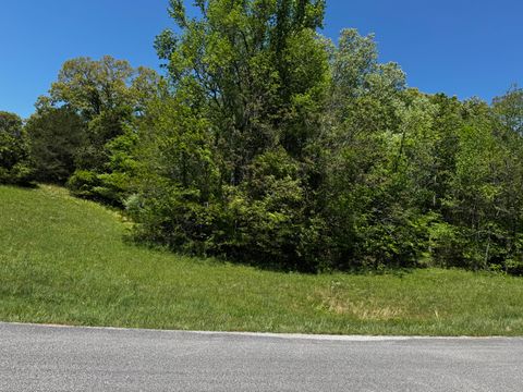 Vacant Land For Sale - 00 Goodfield Terrace<br/> Decatur, TN 37322