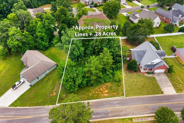 MAGALYNN WAY, CHATSWORTH, GA 30705 - Image 4a8da198581e92aed2cfacfd0d10a79f/2934648256