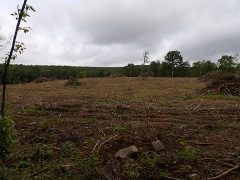 Photo of Lot 8 Hughes Road, Pikeville, TN 37332 (MLS # 1514916)