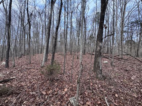 Photo of 7473 Tmb Trail, Birchwood, TN 37308 (MLS # 1527047)