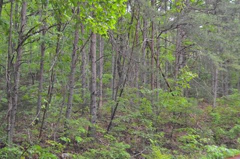 Tiny photo for 8805 Terrace Falls Drive, Soddy Daisy, TN 37379 (MLS # 1524134)
