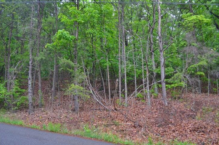 8805 Terrace Falls Drive