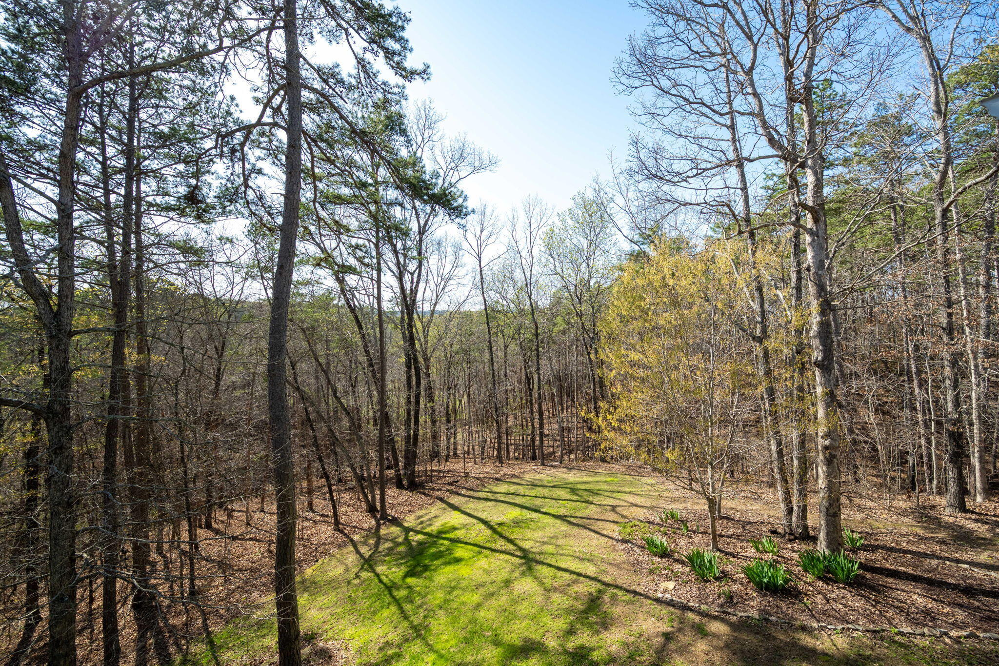 1026 Trojan View Drive, Soddy Daisy, Tennessee image 31