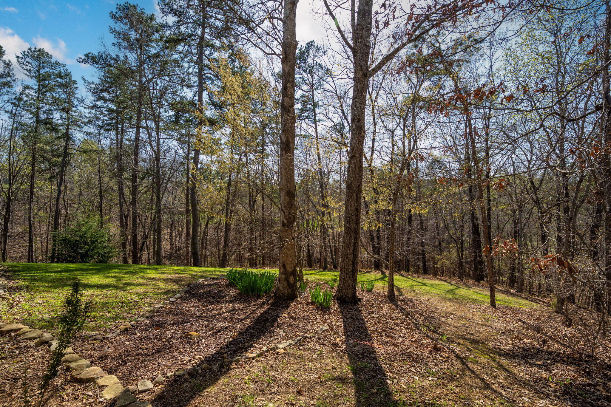 1026 Trojan View Drive, Soddy Daisy, Tennessee image 38