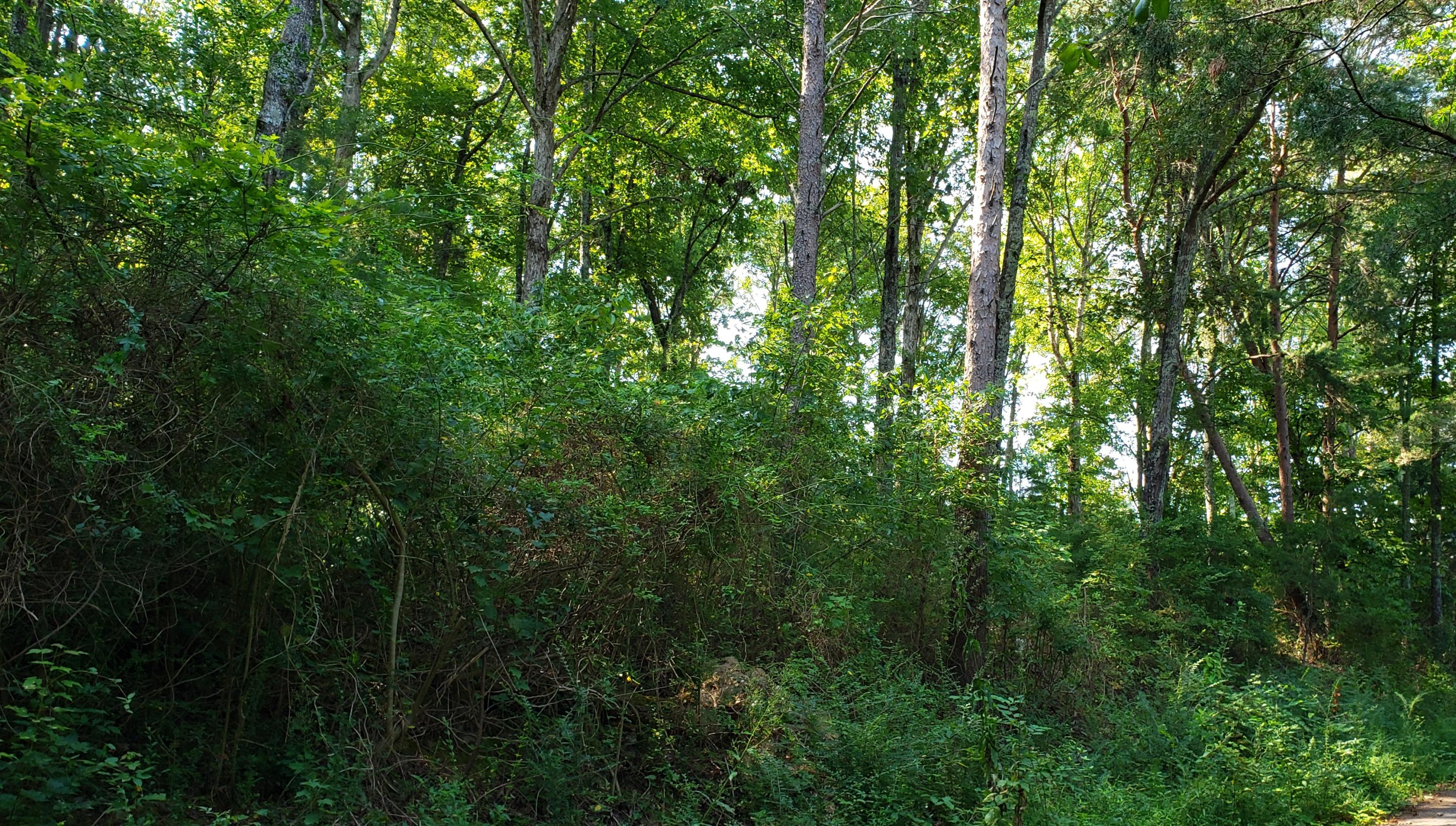 Treeline Drive #4, Dunlap, Tennessee image 3