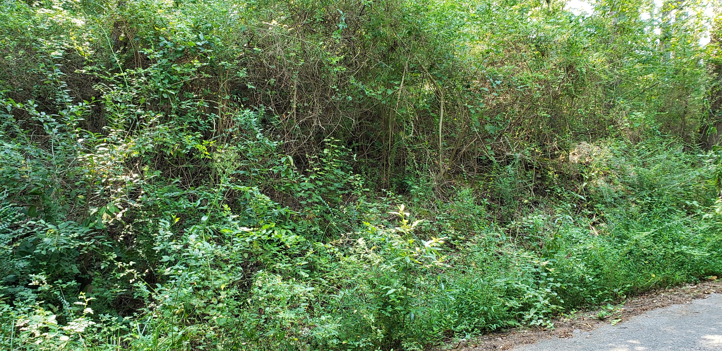 Treeline Drive #4, Dunlap, Tennessee image 9