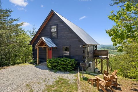 Photo of 117 Skyline Drive, Tellico Plains, TN 37385 (MLS # 1533466)