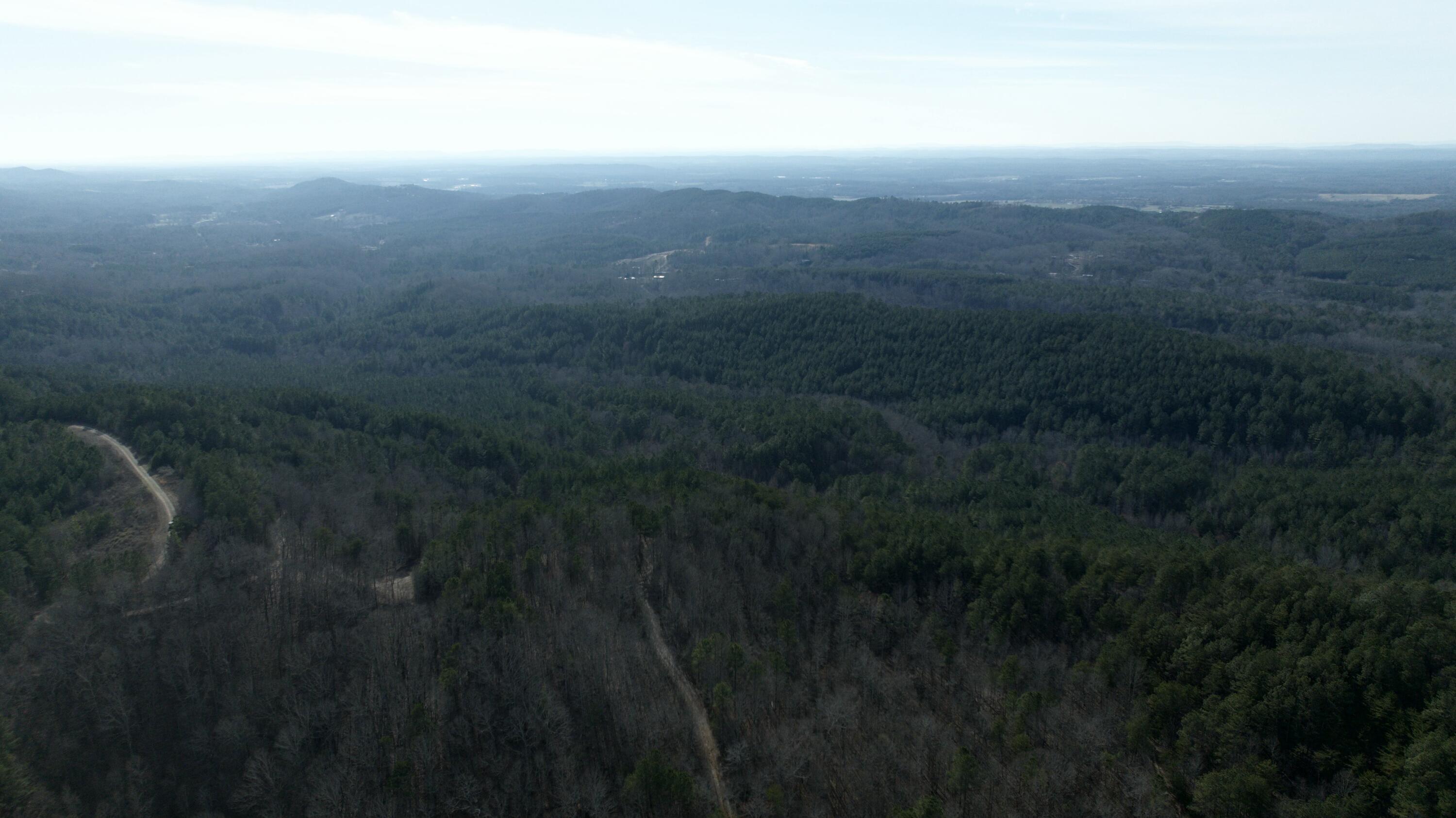 Sand Mountain Road, Old Fort, Tennessee image 17