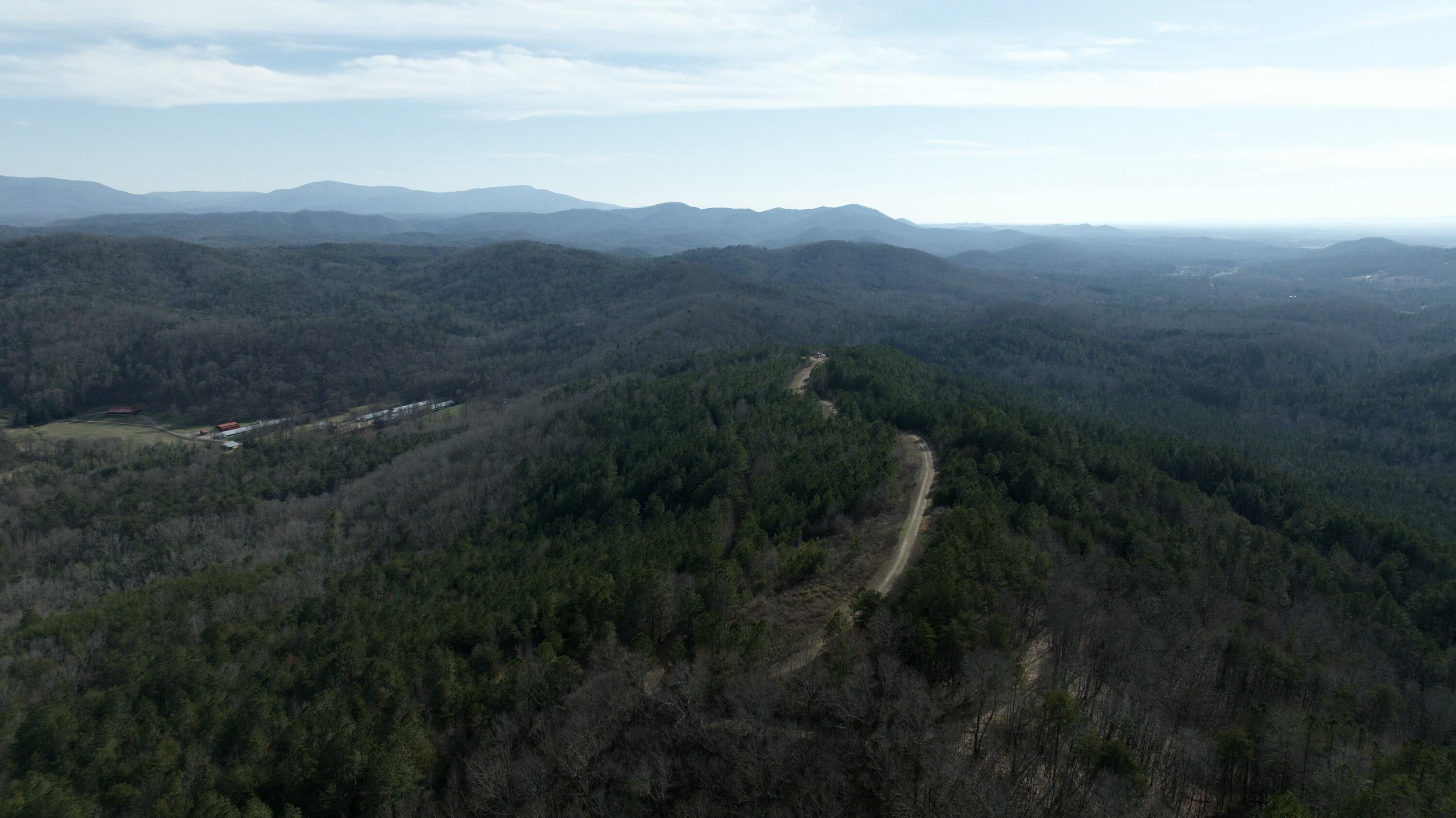 Sand Mountain Road, Old Fort, Tennessee image 13