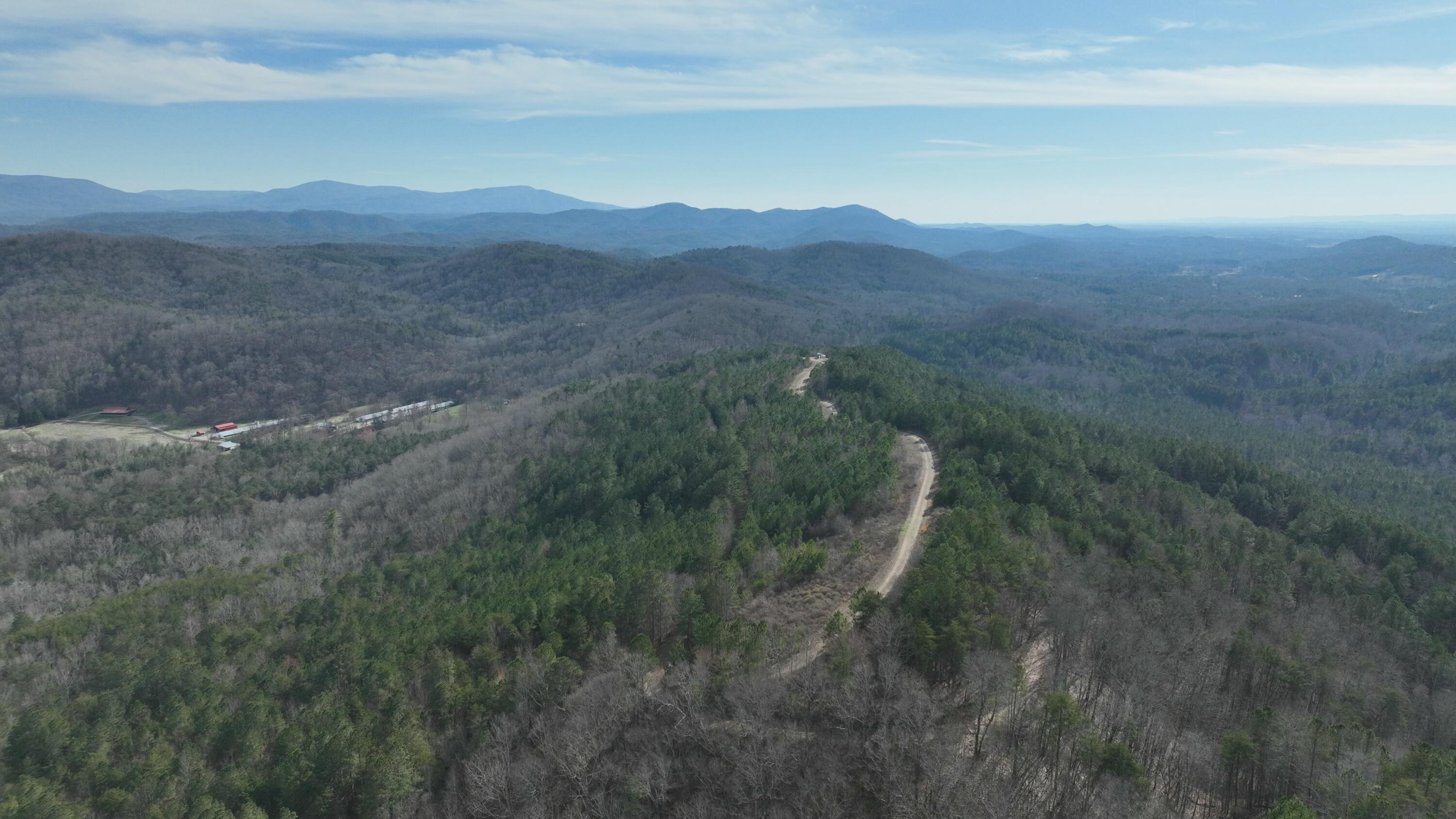 Sand Mountain Road, Old Fort, Tennessee image 15