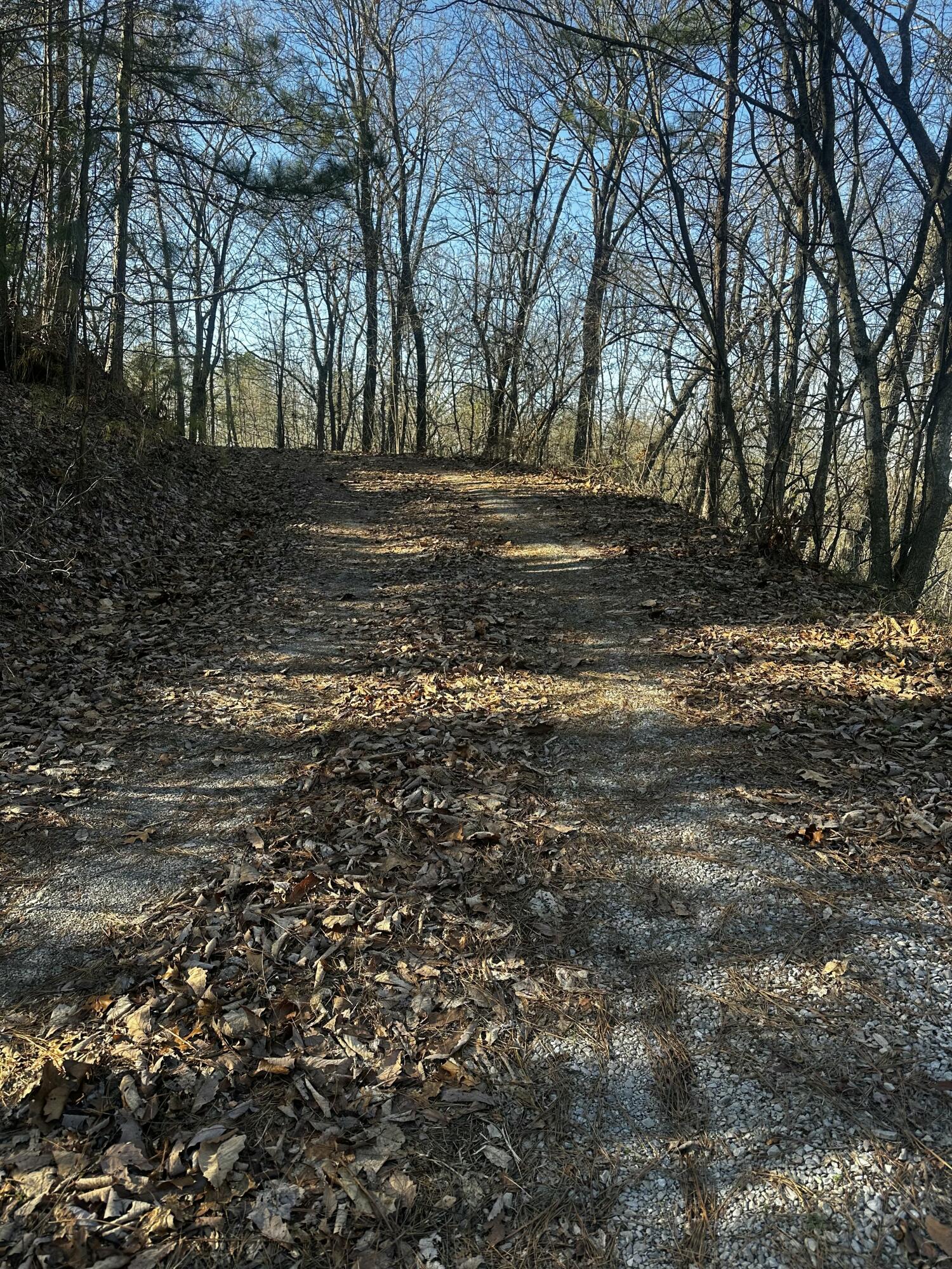 Sand Mountain Road, Old Fort, Tennessee image 12