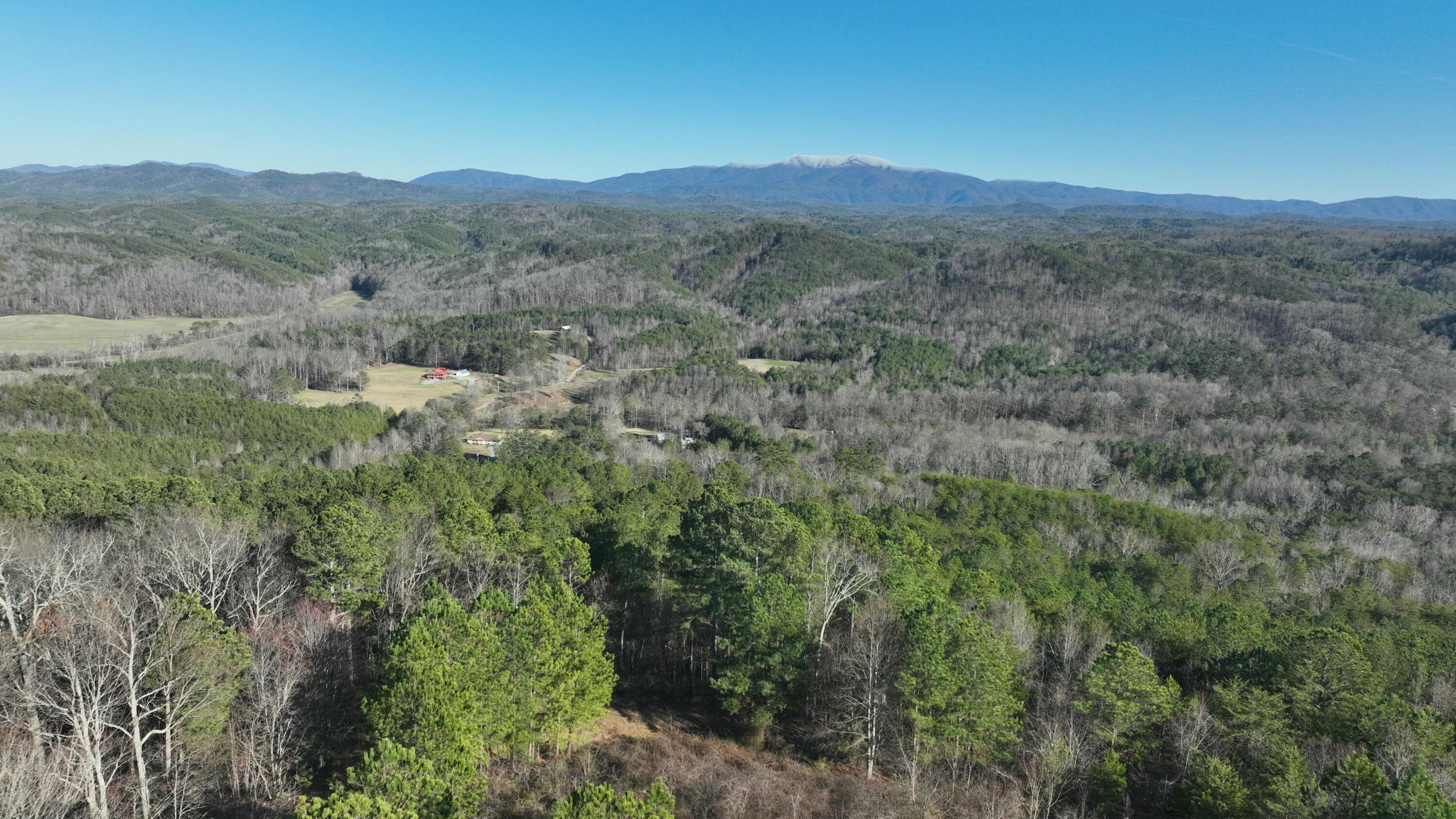 Sand Mountain Road, Old Fort, Tennessee image 7