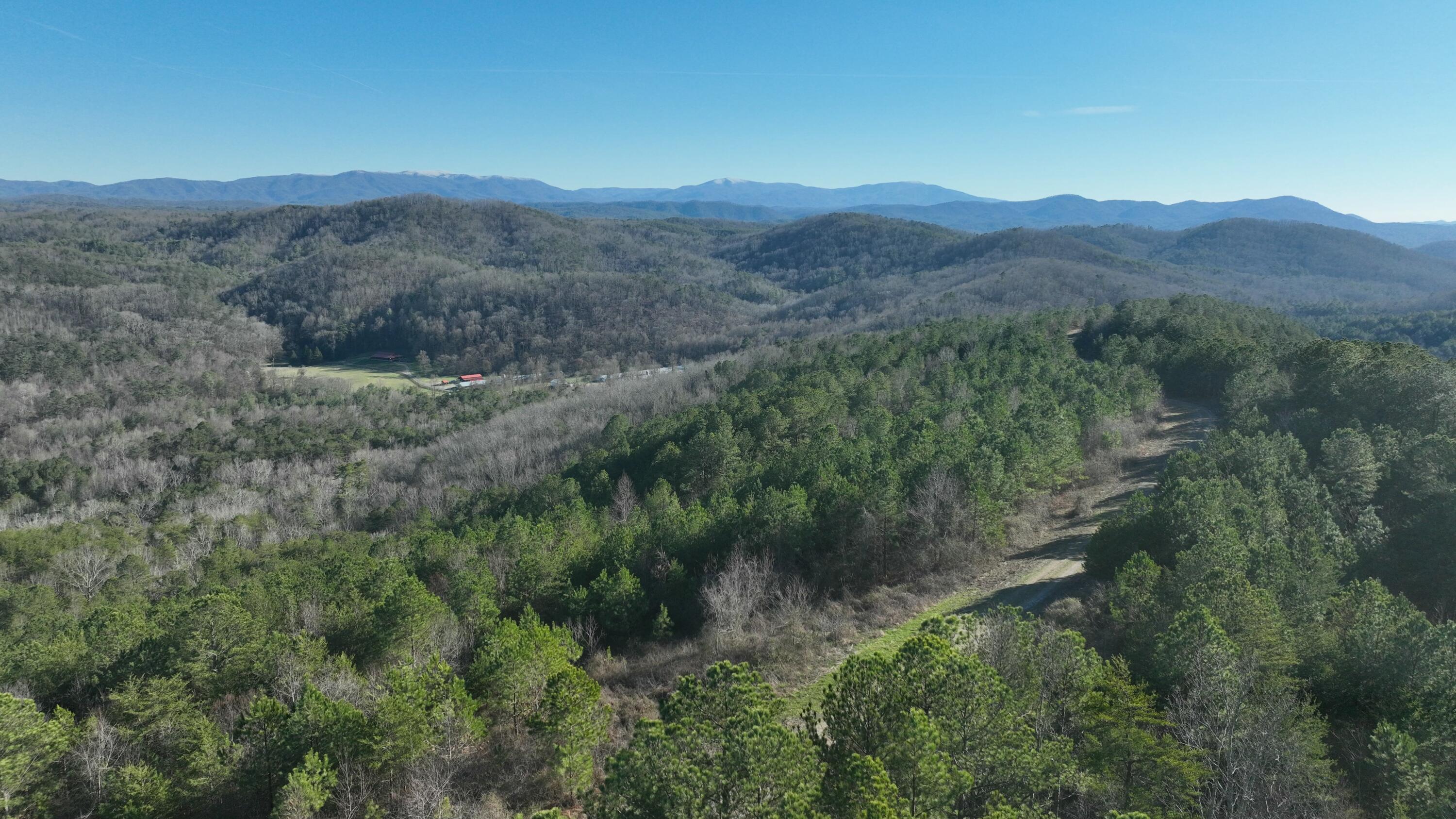 Sand Mountain Road, Old Fort, Tennessee image 11