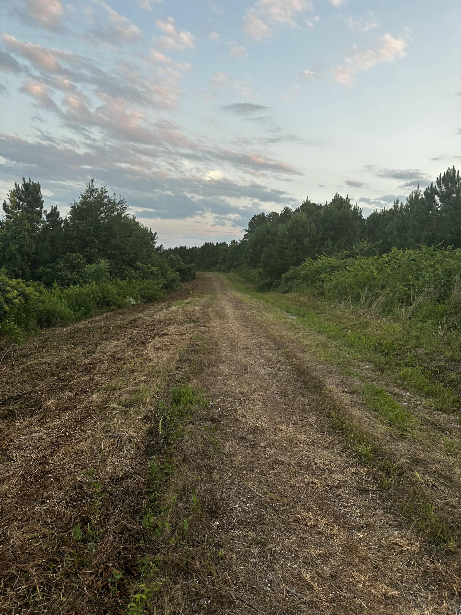 Sand Mountain Road, Old Fort, Tennessee image 19