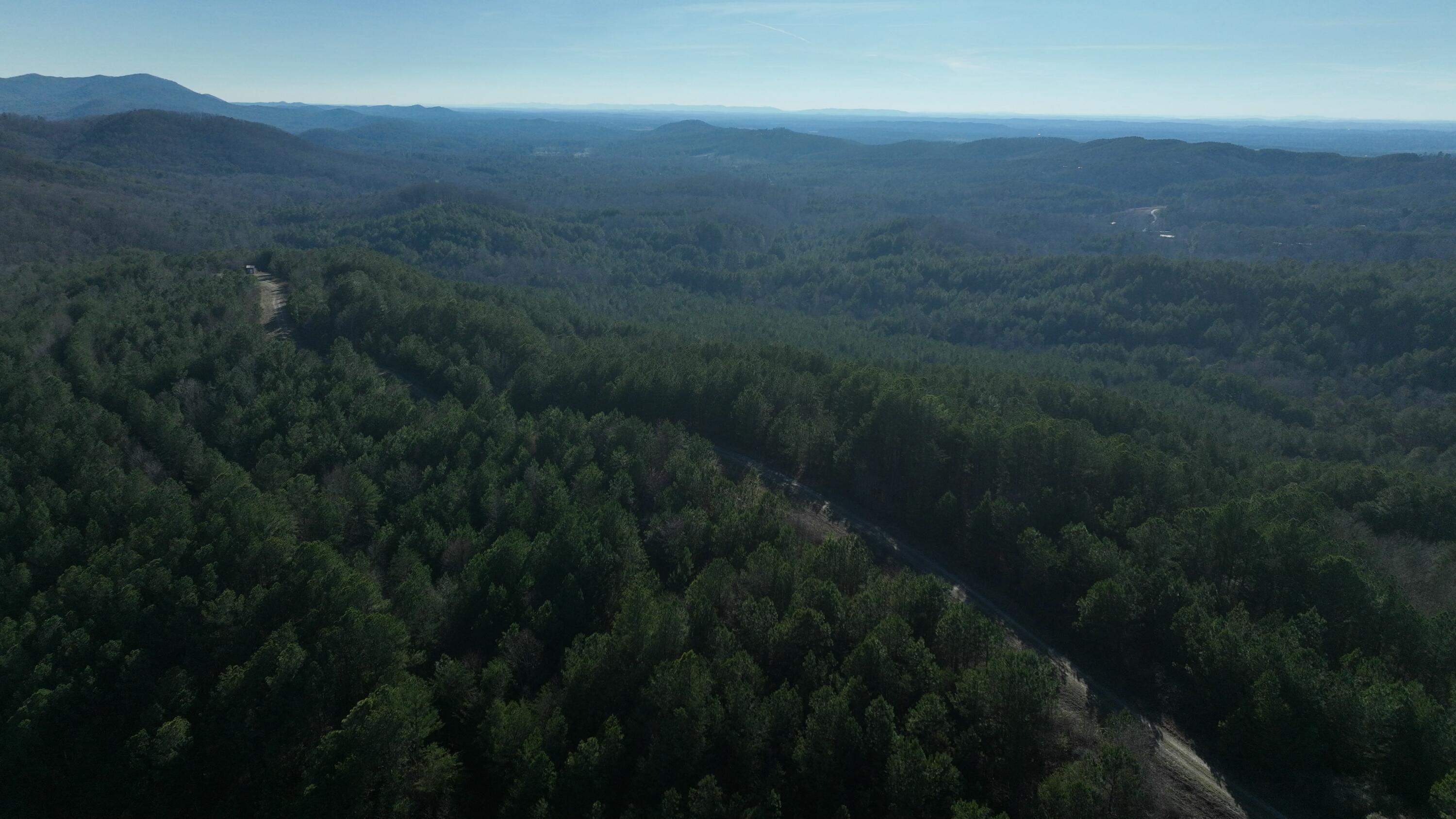 Sand Mountain Road, Old Fort, Tennessee image 10