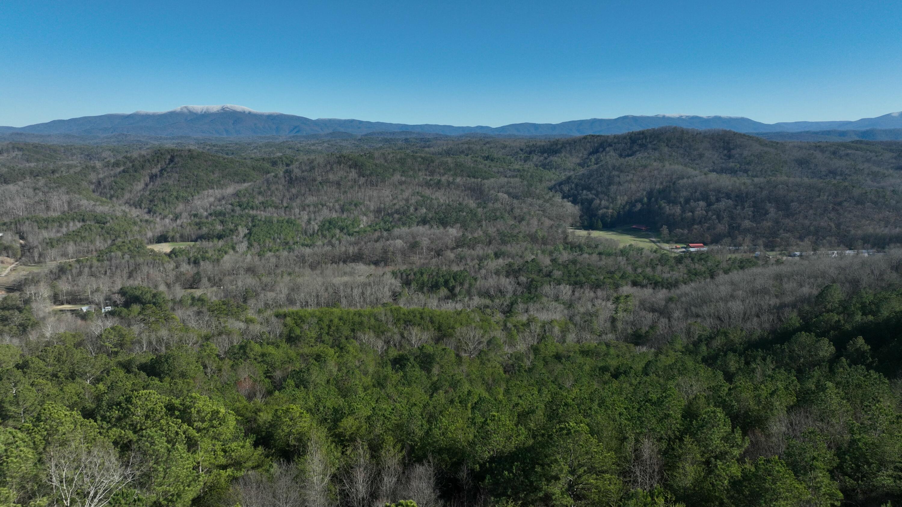 Sand Mountain Road, Old Fort, Tennessee image 3