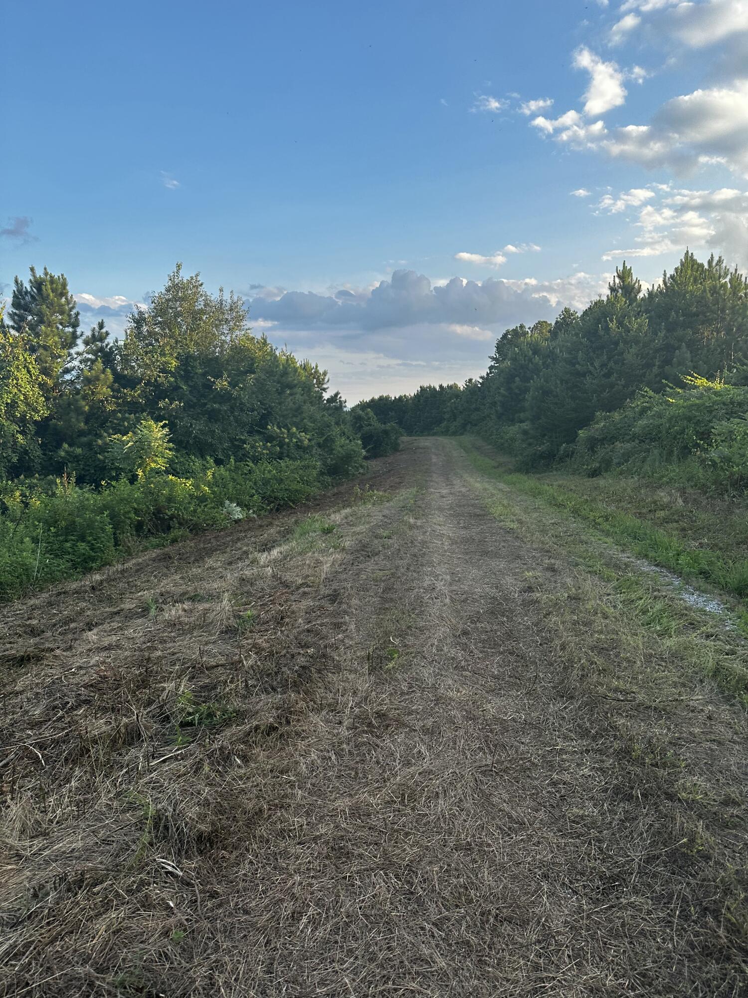 Sand Mountain Road, Old Fort, Tennessee image 24