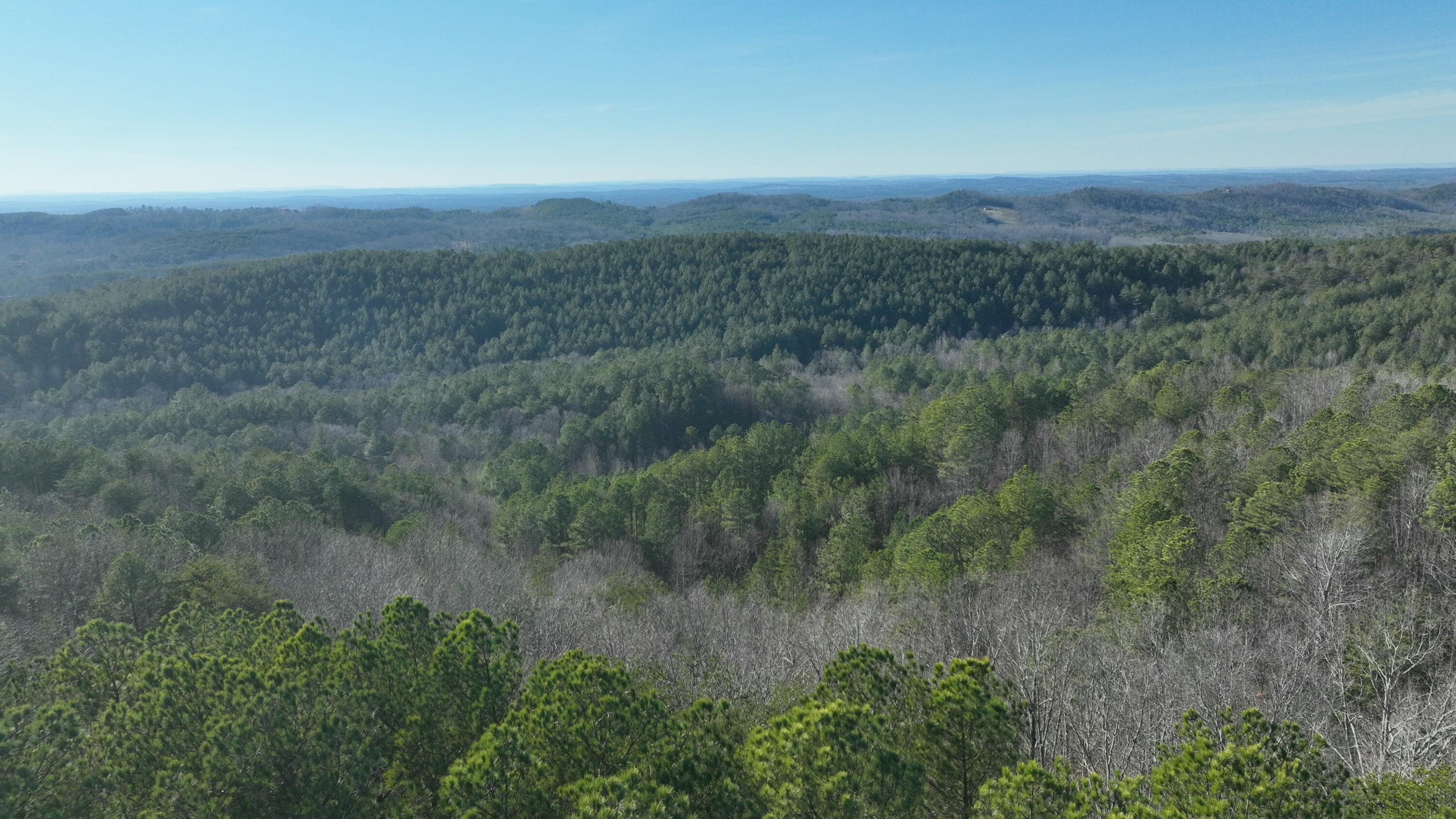Sand Mountain Road, Old Fort, Tennessee image 5