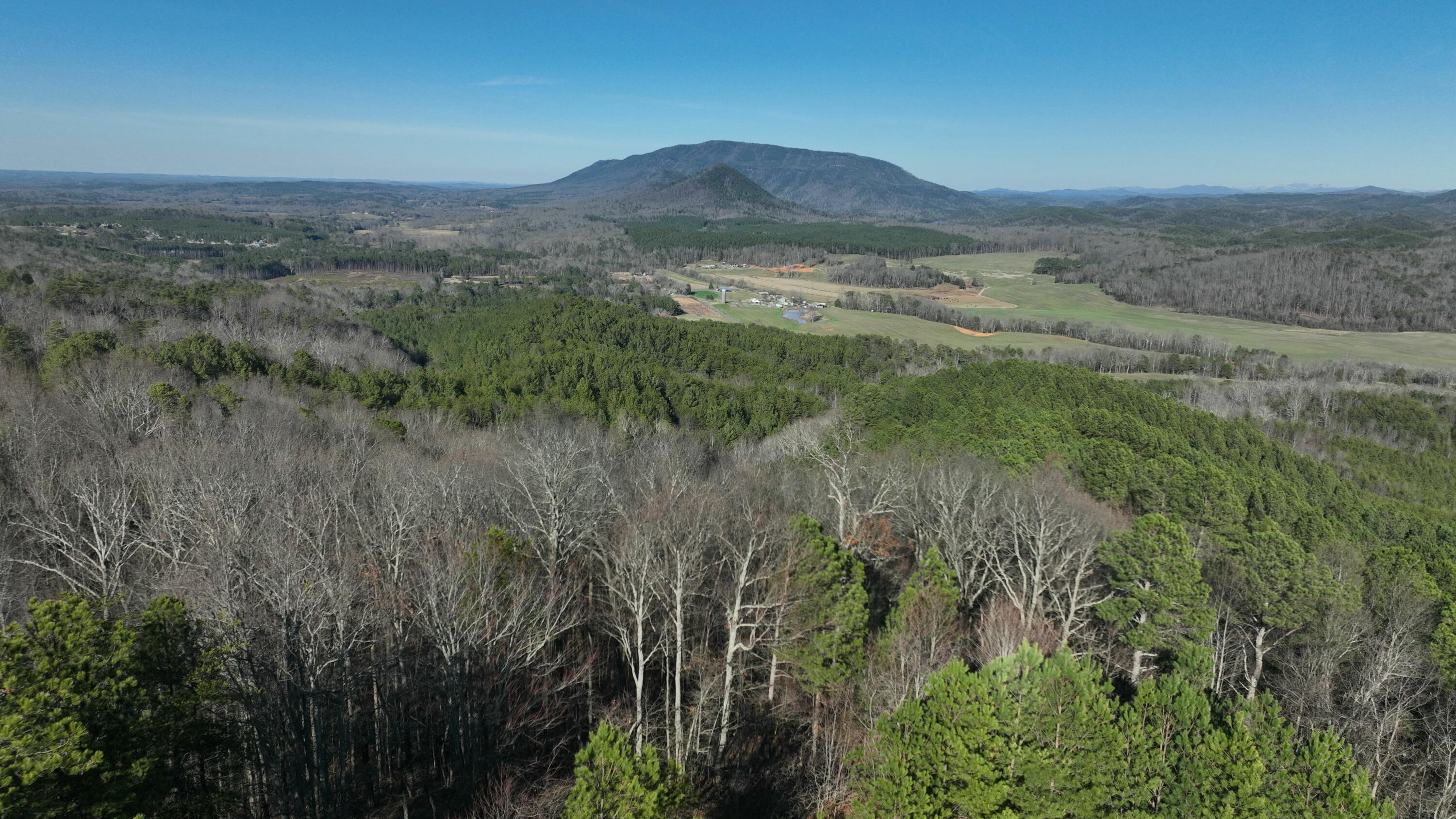 Sand Mountain Road, Old Fort, Tennessee image 2