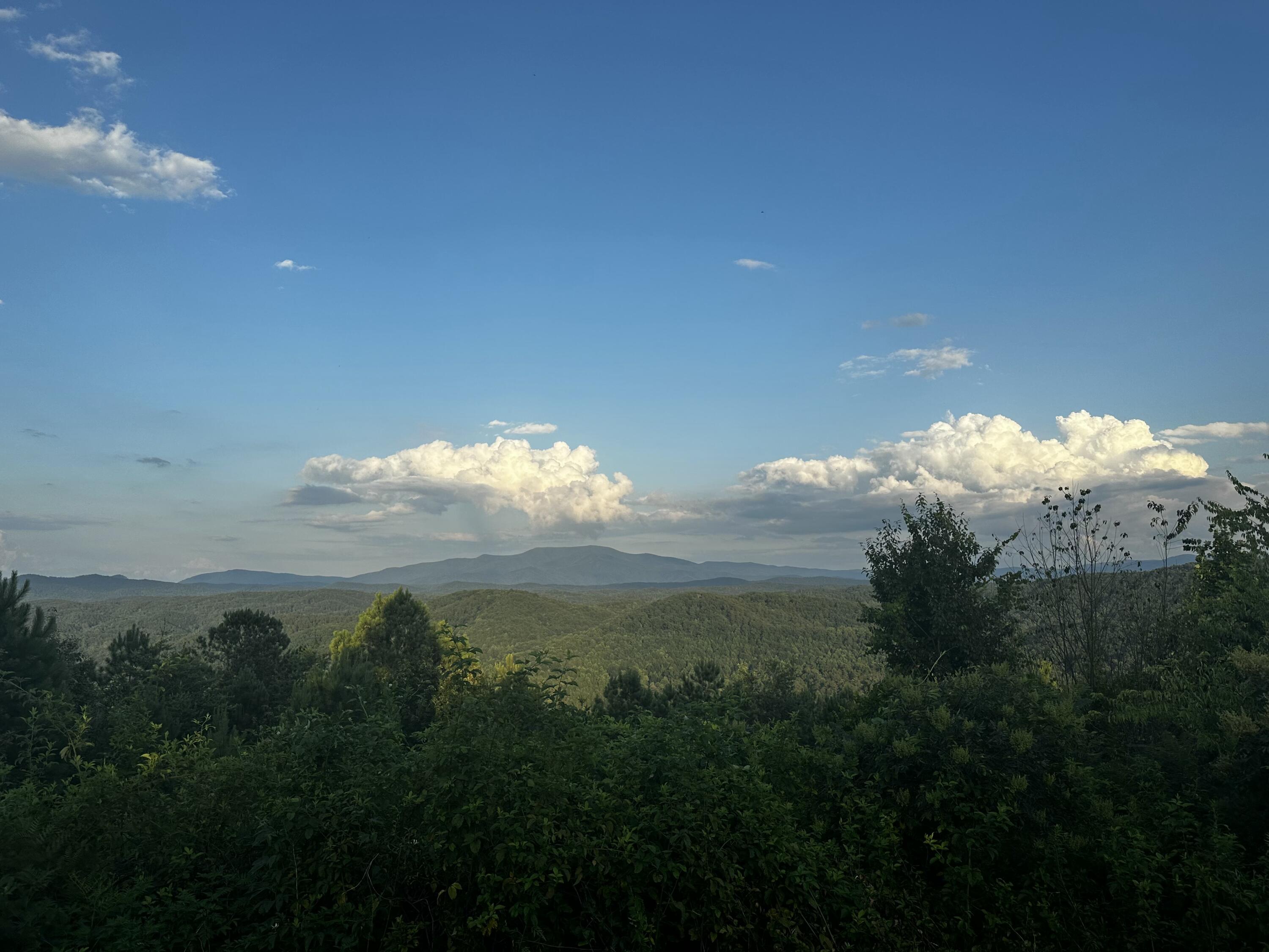 Sand Mountain Road, Old Fort, Tennessee image 22