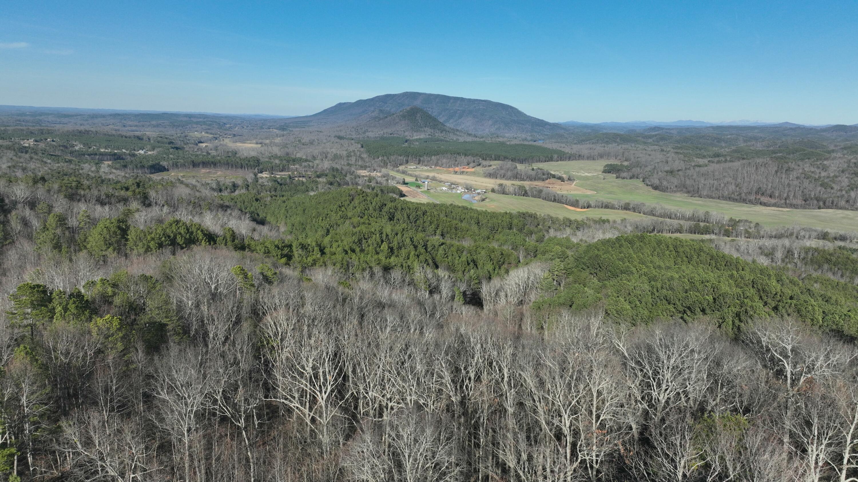 Sand Mountain Road, Old Fort, Tennessee image 8