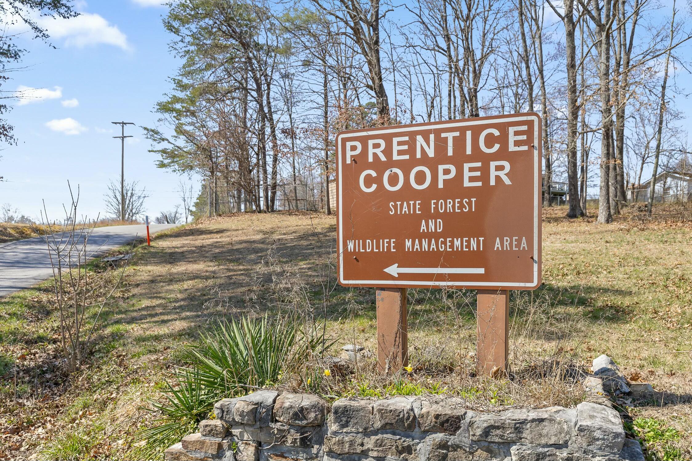 790 Big Fork Road, Chattanooga, Tennessee image 35